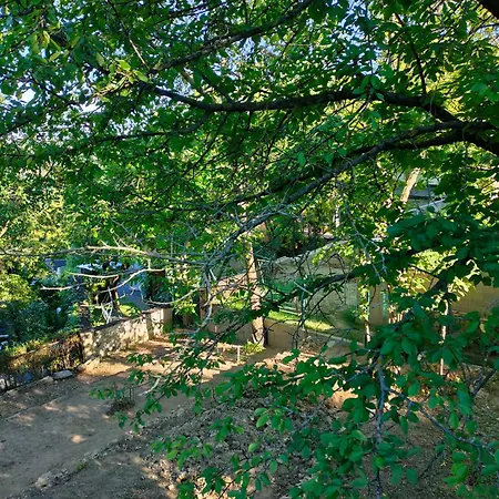 펜션 Tristar House