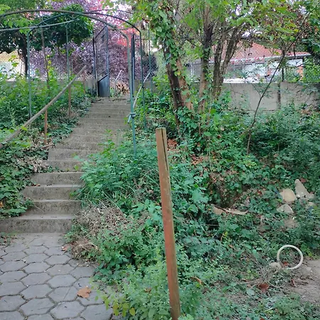 Case de vacanță Tristar House *