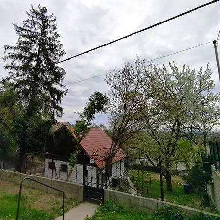 Dom wakacyjny Tristar House Budapeszt